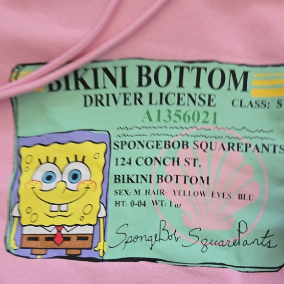 Nickelodeon Pink SpongeBob Bikini Bottom License Hoodie - Picture 4 of 9